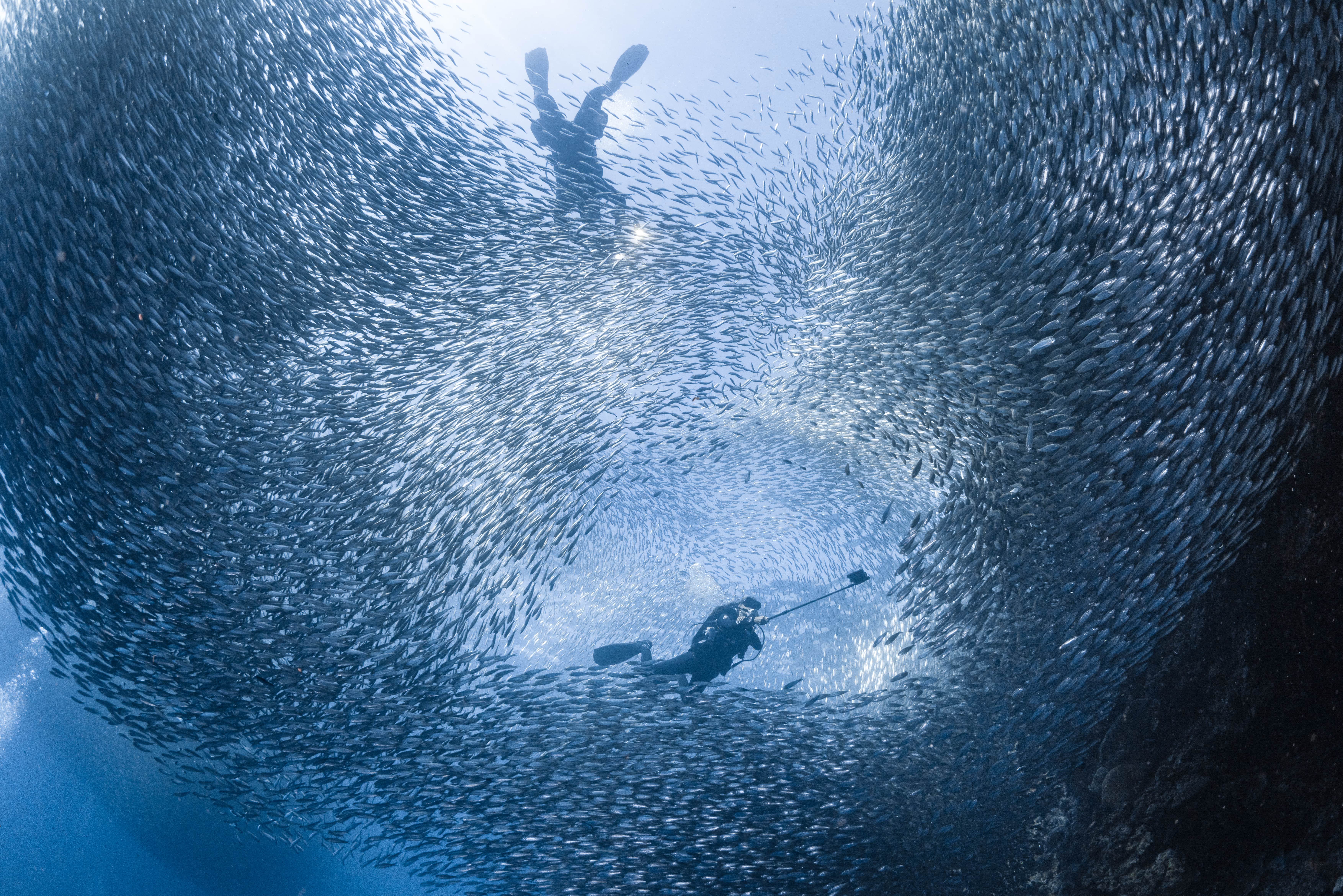 Hi, how can we help?